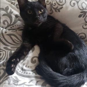 Meet your Posher, Carly